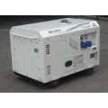 Bison China Zhejiang Super Silent Air Cooled Diesel Power Generator Starting Handle